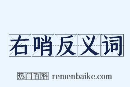 右哨反义词是什么意思的图片